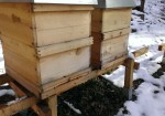 Beispiel: Bienenstand - So wurden meine Bienen überwintert
